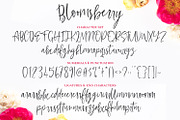 Bloomsberry Type & Graphics, a Handwritten Font by Callie Rian & Co. (Thumbnail 11 of 14)