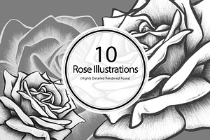 10 Rose Illustrations