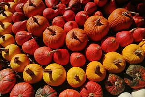 Pumpkins, group of orange pumpkins, a Photo by frizio