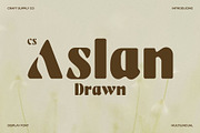 CS Aslan Drawn, a Sans Serif Font by Craft Supply Co. (Thumbnail 1 of 8)