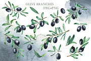 Watercolor olives, an Illustration by Watercolor & sketches (Thumbnail 3 of 7)