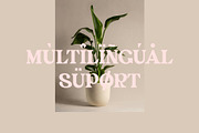 SEHON LIGATURE SERIF TYPEFRACE, a Serif Font by yaqublekker (Thumbnail 6 of 10)