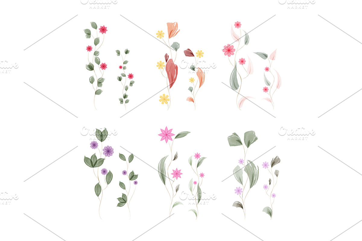Soft watercolor botanical, an Object Illustration by okskukuruza