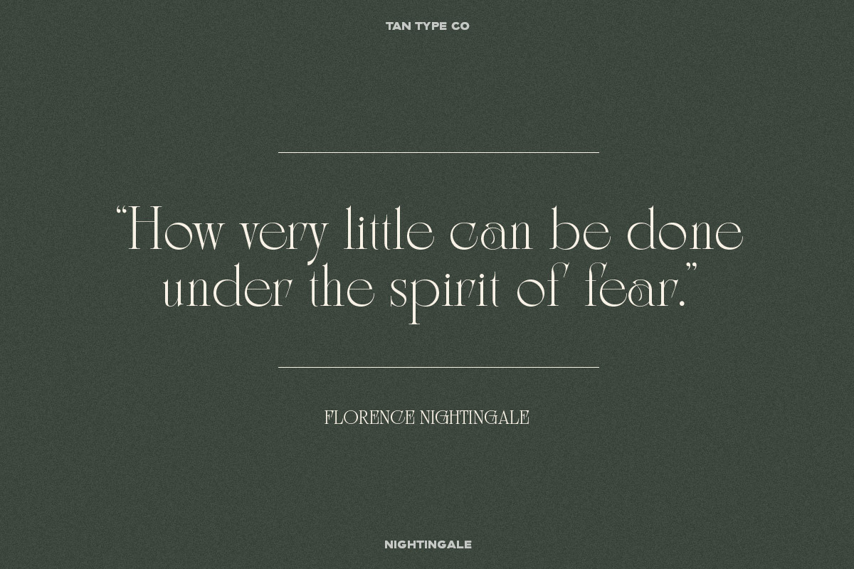 TAN - NIGHTINGALE, a Serif Font by TanType (Photo 11 of 15)