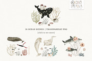 AQUATALES | 170+ elements, an Animal Illustration by Oksana Stepova (Thumbnail 8 of 19)