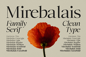 Mirebalais - Family Serif, a Serif Font by Marvadesign