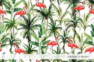 ANIMAL KINGDOM & Animals Patterns