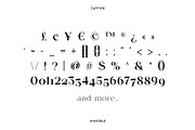 Hanoble - Modern Ligature Serif, a Serif Font by Vesvocrea (Thumbnail 6 of 13)