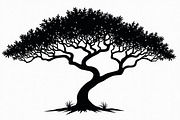 Nature Tree SVG Collection, an Illustration by Amazin_art (Thumbnail 11 of 20)