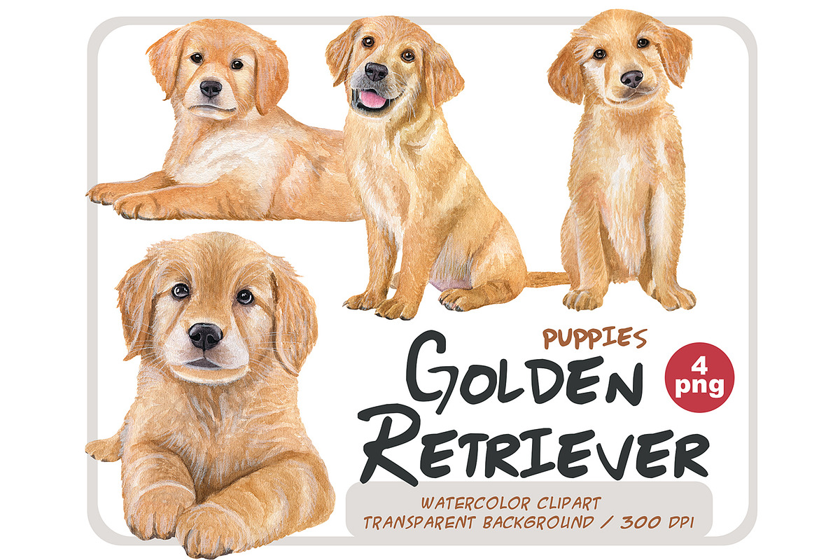 Watercolor Golden Retriever puppies, an Illustration by ArtfulStudio - Main Image