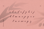 Inola Hand Lettered Font, a Script Font by Wild Ones (Thumbnail 4 of 12)
