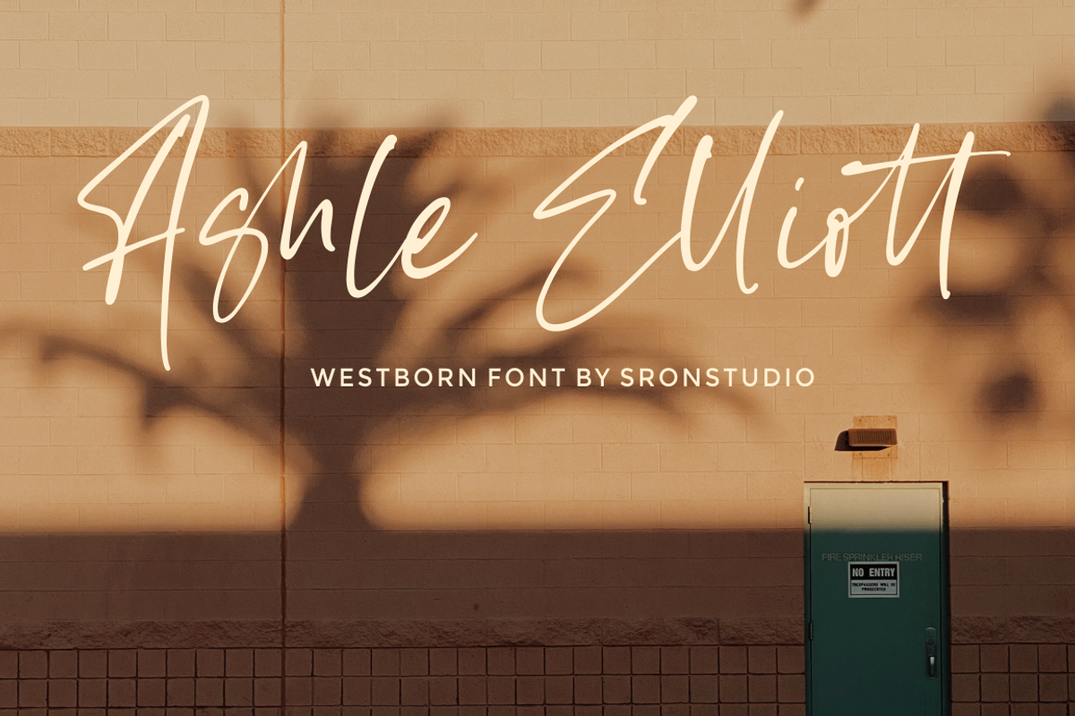 Westborn - Signature Style, a Script Font by Sronstudio (Photo 15 of 18)