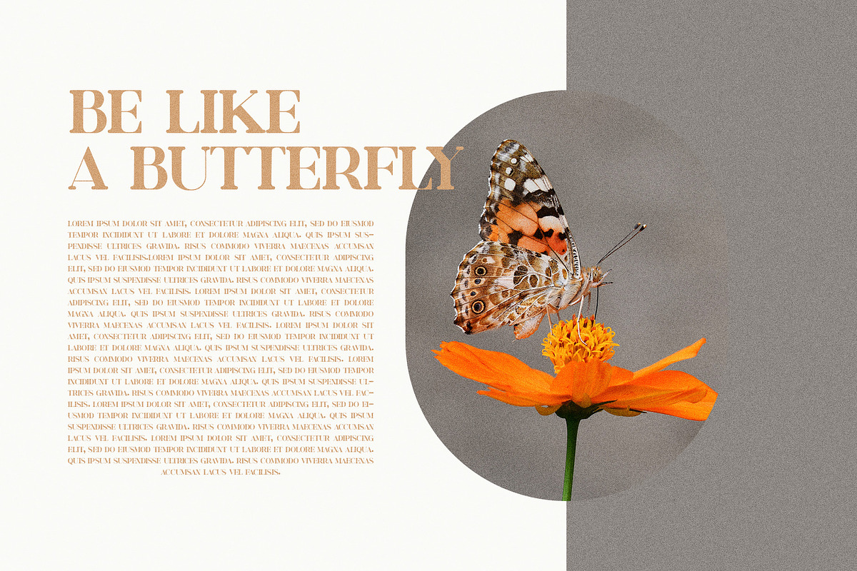 Rekom  Elegant Serif Font Typeface, a Serif Font by Perfectype (Photo 3 of 10)