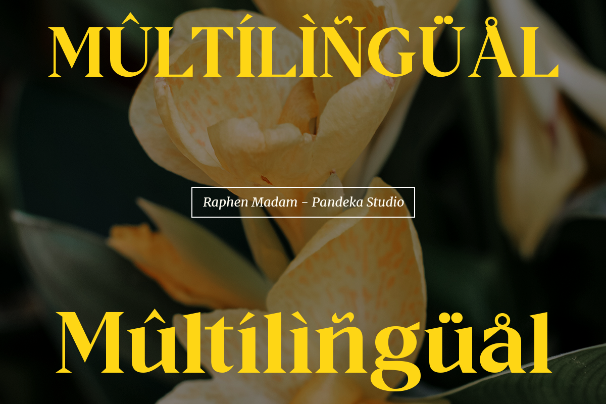 Raphen Madam - Classic Elegant Serif, a Serif Font by Pandeka Studio (Photo 12 of 12)
