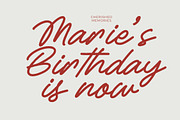 Betany Salena Monoline Brush Font, a Script Font by Letterena Studios Script (Thumbnail 3 of 15)
