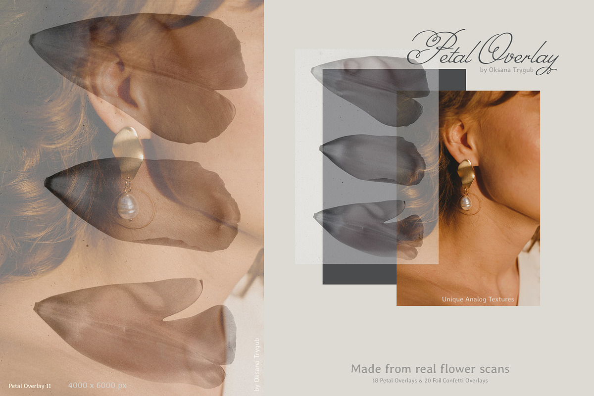 Flower Petal Textures & Foil Overlay, a Texture Graphic by Oksana Trygub (Photo 17 of 28)