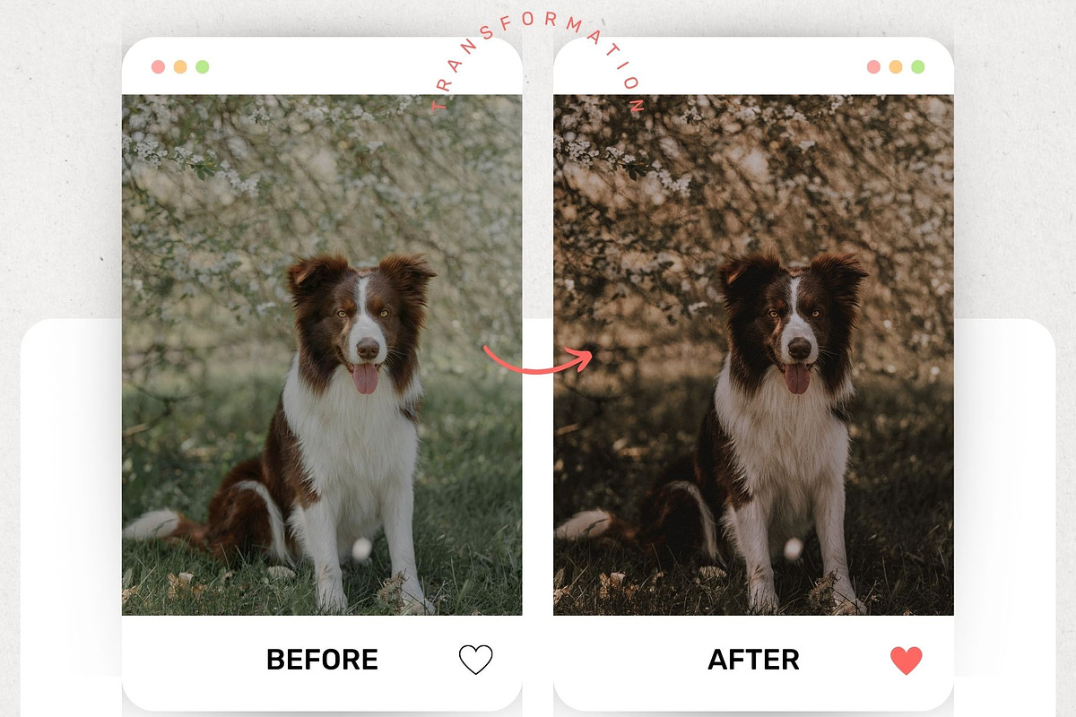 Moody Lightroom Presets & Luts, a Preset Add-On by presetsroom (Photo 9 of 13)