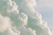 230 Sage Green Stock Images Bundle, a Beauty & Fashion Photo by Allure Art (Thumbnail 18 of 33)