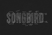 Parkson Sans Serif - 18 Fonts, a Sans Serif Font by Greg Nicholls (Thumbnail 7 of 9)