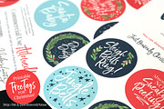 Just Heavenly Brush Font & Extras, a Script Font by Nicky Laatz (Thumbnail 12 of 12)