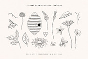 Wild Honey Vector Illustrations, a Decorative Illustration by rouxsupplyco (Thumbnail 3 of 14)