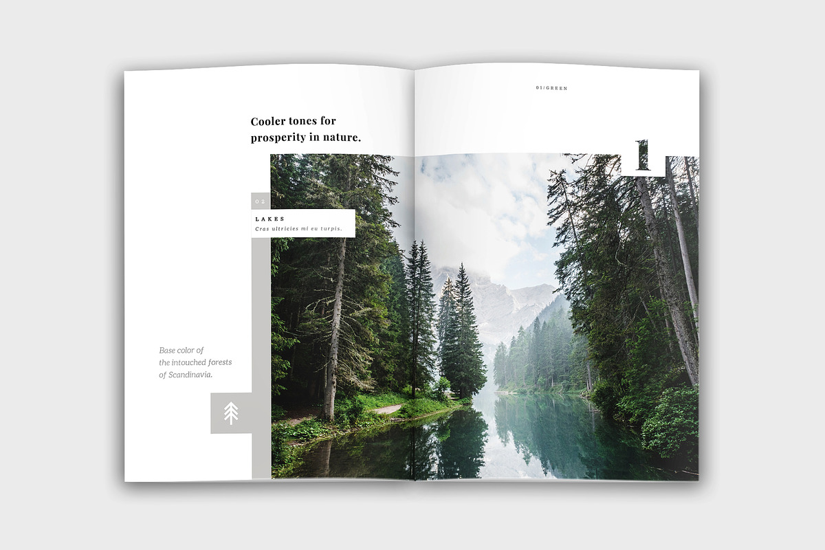 Colora - Bold, Clean Portfolio, a Brochure Template by velvetmade.designs (Photo 4 of 17)
