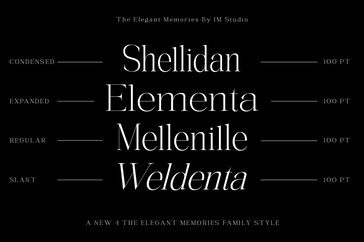The Elegant Memories ( 32 Fonts ), a Serif Font by IM Studio (Photo 2 of 12)