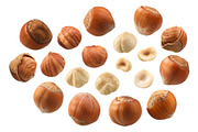 Hazelnuts, an Object Graphic by Hortimages (Thumbnail 1 of 2)