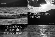 TBJ Black Gold 2-Styles Serif, a Serif Font by Taboja Studio (Thumbnail 6 of 15)