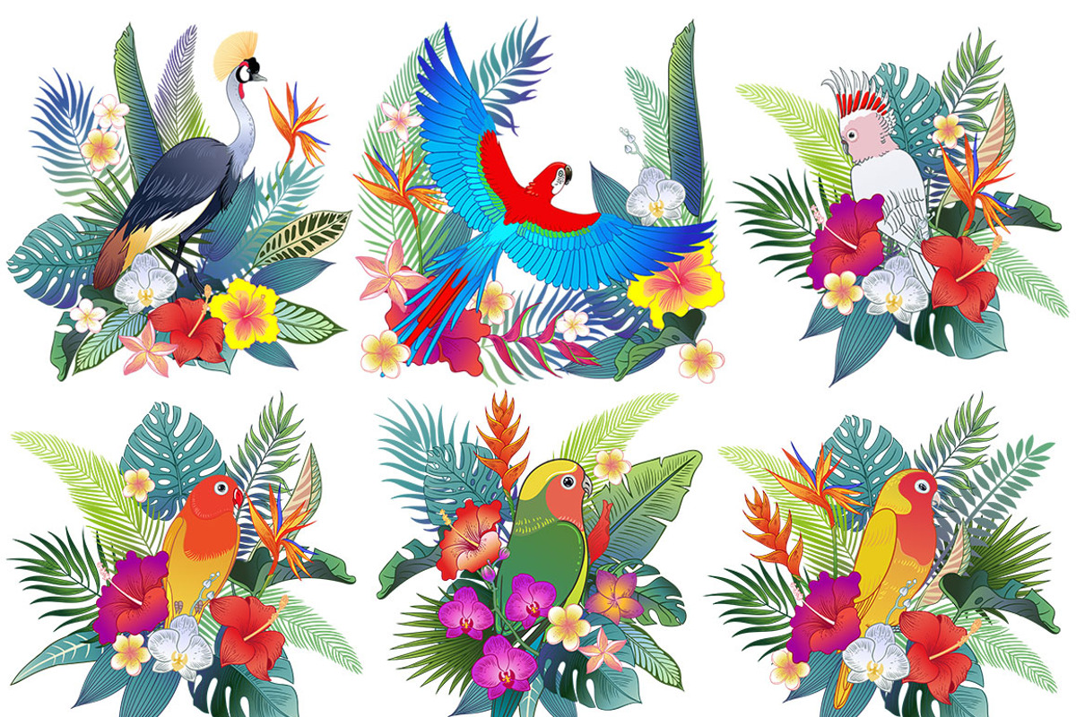 Tropical birds & flowers, an Object Graphic by Anastasia (Photo 5 of 12)
