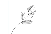 Prompt Botanical Line Art Flower, a Decorative Illustration by Creative design (Thumbnail 3 of 7)
