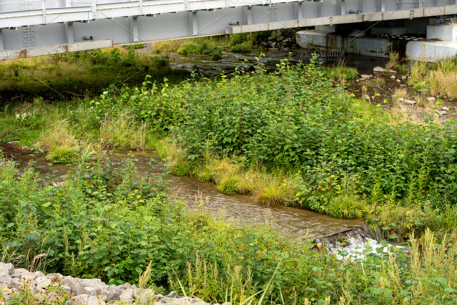 Flowing stream beneath modern steel, a Nature Photo by Elena Vagengeim