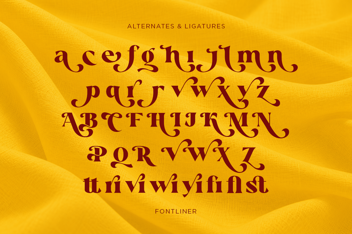 Venary - Elegant Fashion Serif Font, a Serif Font by Font Liner (Photo 10 of 10)