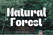 Giftson Playful Display Serif, a Serif Font by timelesstype.co (Thumbnail 13 of 20)