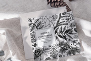 Winter Plants Set. Christmas Designs, a Seasonal Illustration by Yevheniia (Thumbnail 5 of 13)