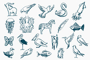 Hand Drawn Animals, an Animal Illustration by Michael Rayback Design (Thumbnail 3 of 4)