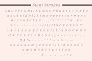 Fox Miravel, a Serif Font by Fox7 By Rattana (Thumbnail 13 of 14)