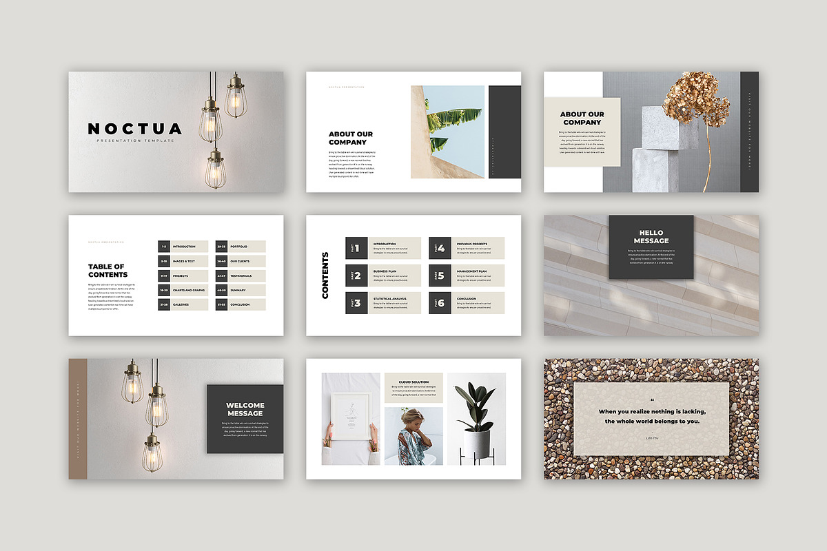 Noctua Presentation for Canva, a Presentation Template by SlideStation (Photo 3 of 11)