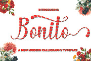 BIG BUNDLE FON SCRIPT, a Font by Jhoen (Thumbnail 13 of 19)