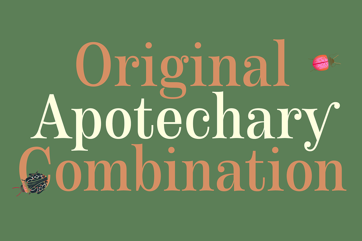 Apothicaire font, a Serif Font by Sudtipos (Photo 8 of 8)