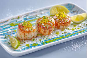 A close-up shot features scallops, a Food & Drink Photo by ZinetroN