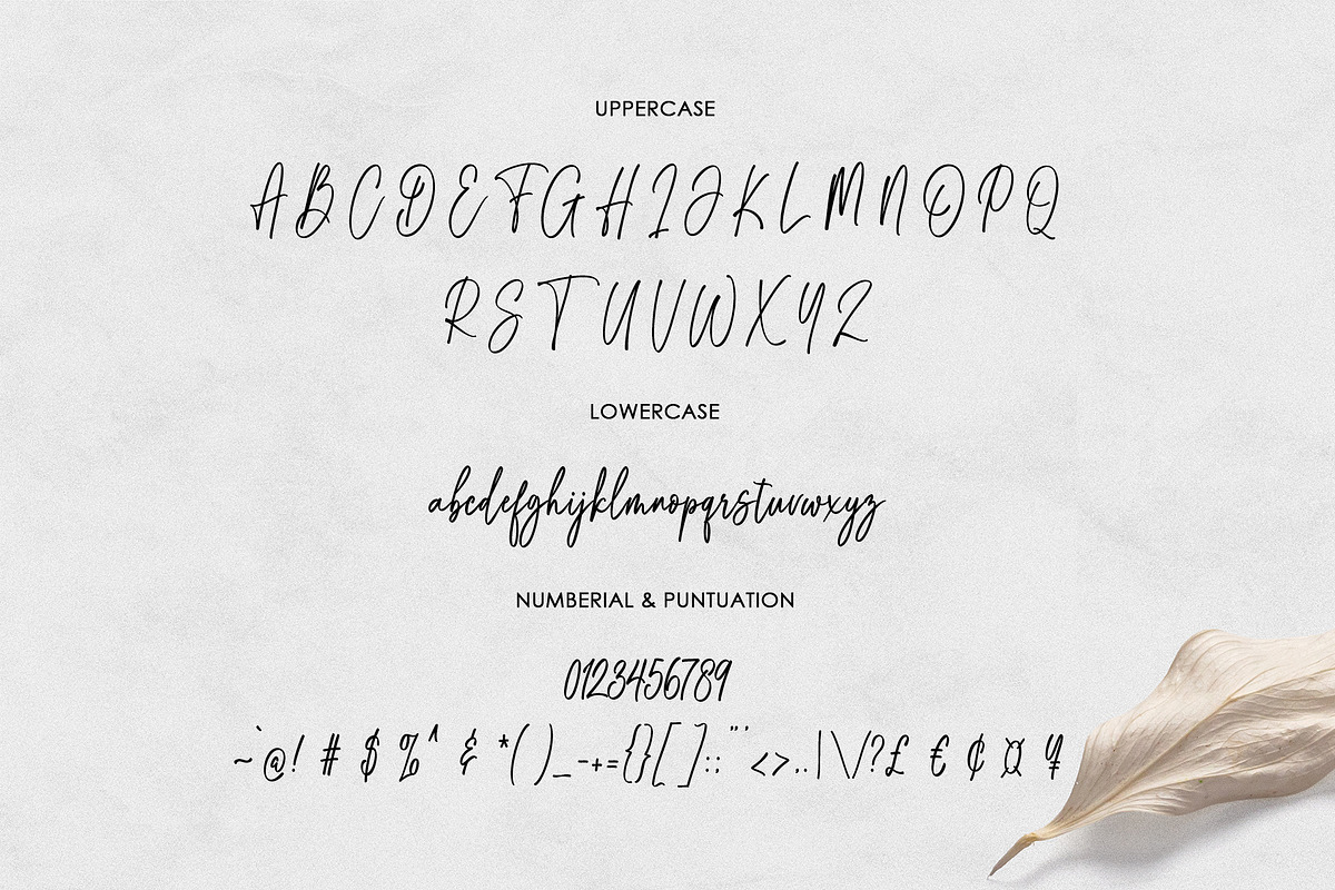 Torastige Script, a Script Font by moriztype (Photo 6 of 6)