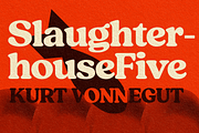 Tomato Ketchup Retro Serif Font, a Serif Font by Fenotype (Thumbnail 5 of 14)