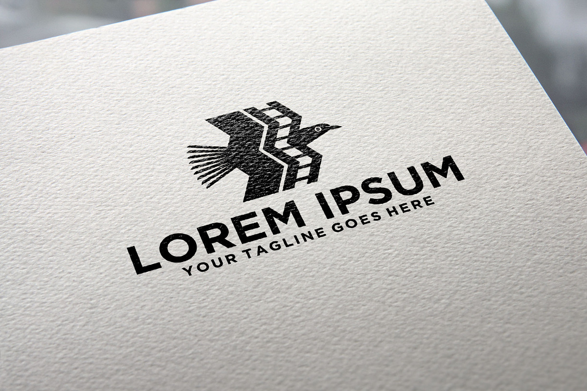 Falcon Film Production Studio logo, a Design Template by REDVY CREATIVE