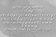 Gibrella, a Script Font by Akifatype. (Thumbnail 7 of 7)
