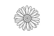 Daisy Flower Line Art Vector Bundle0, an Illustration by jahid234 (Thumbnail 4 of 51)
