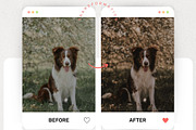 Moody Lightroom Presets & Luts, a Preset Add-On by presetsroom (Thumbnail 9 of 13)