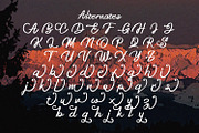Anzim - Signature Script Font, a Script Font by StringLabs (Thumbnail 10 of 11)