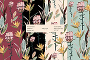 Tropical vector seamless set, a Pattern Graphic by PatternsBlooming (Thumbnail 1 of 5)