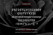 Amstrong Typeface, a Blackletter Font by Rvq Type Foundry (Thumbnail 4 of 5)
